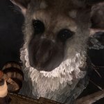 Sony Confirm Last Guardian as Still in Development