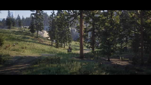 Red Dead Redemption 2 20181102174246