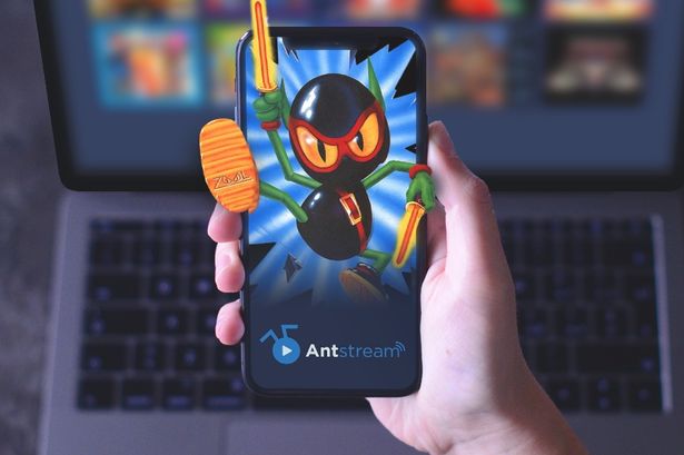 antstream zool