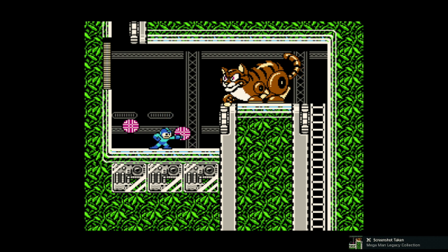 MegaMan3 robocat3