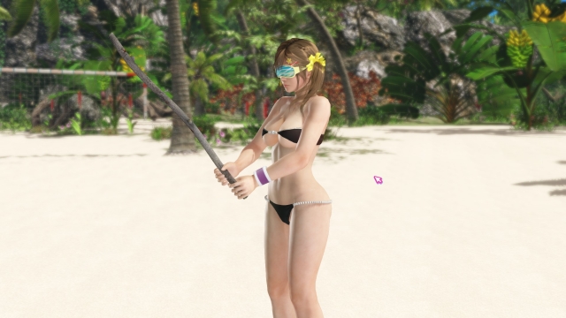 dead or alive xtreme venus vacation not starting
