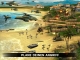 Arma Mobile Ops Box Art