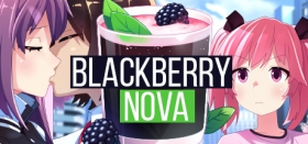 BlackberryNOVA Box Art