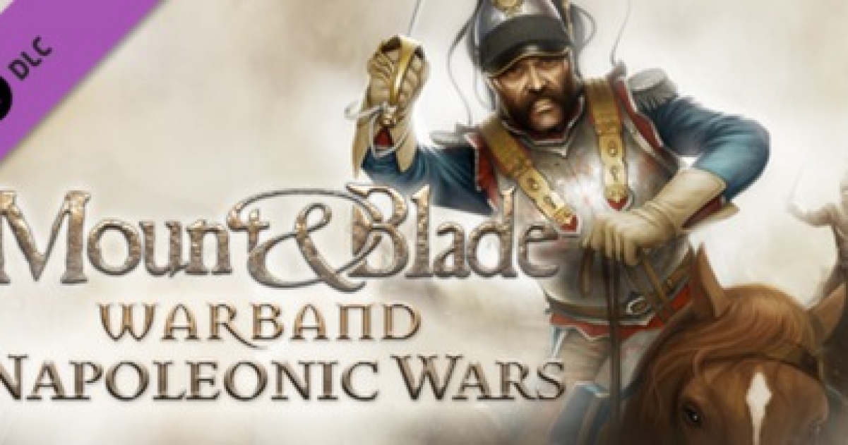 does mount and blade napoleonic wars have single player