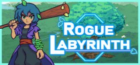 Rogue Labyrinth Box Art