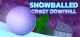 Snowballed: Crazy Downhill Box Art