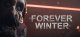 The Forever Winter Box Art