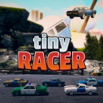 Tiny Racer Review