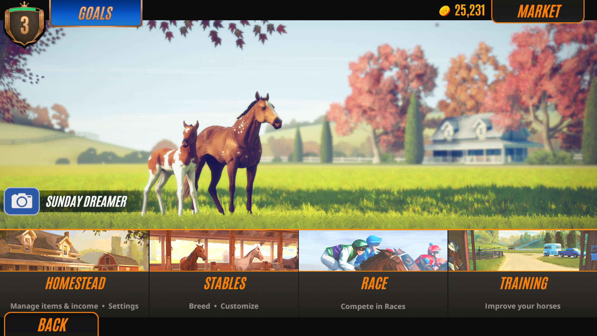 Rival stars. Игра Rival Stars Horse. Rival Stars Horse Racing: desktop Edition. Rival Stars Horse Racing: desktop Edition 2020. Rival Stars Horse Racing лошади.