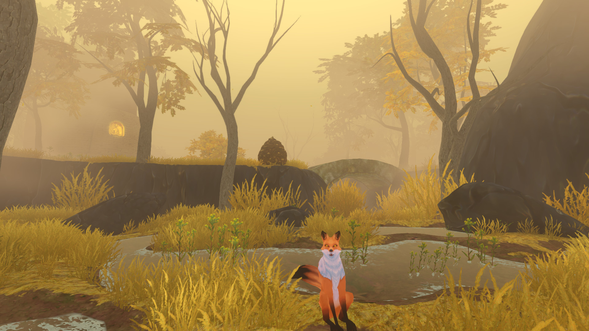 Вилд игра. Wild игра. The Wilds игра на ПК. Feral игра. Wildshade скрины.