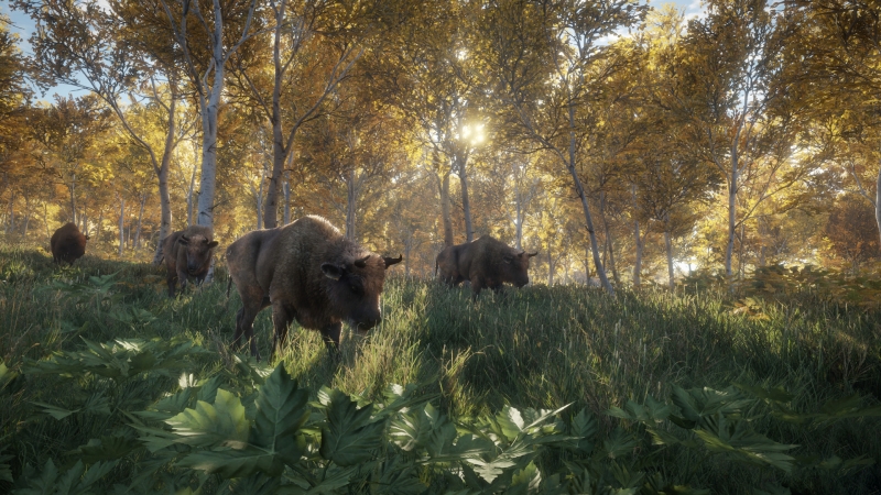 News - theHunter: Call of the Wild