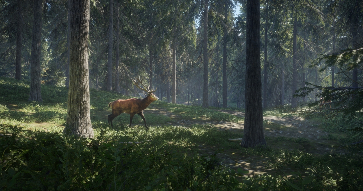 TheHunter: Call Of The Wild has gorgeous scenery